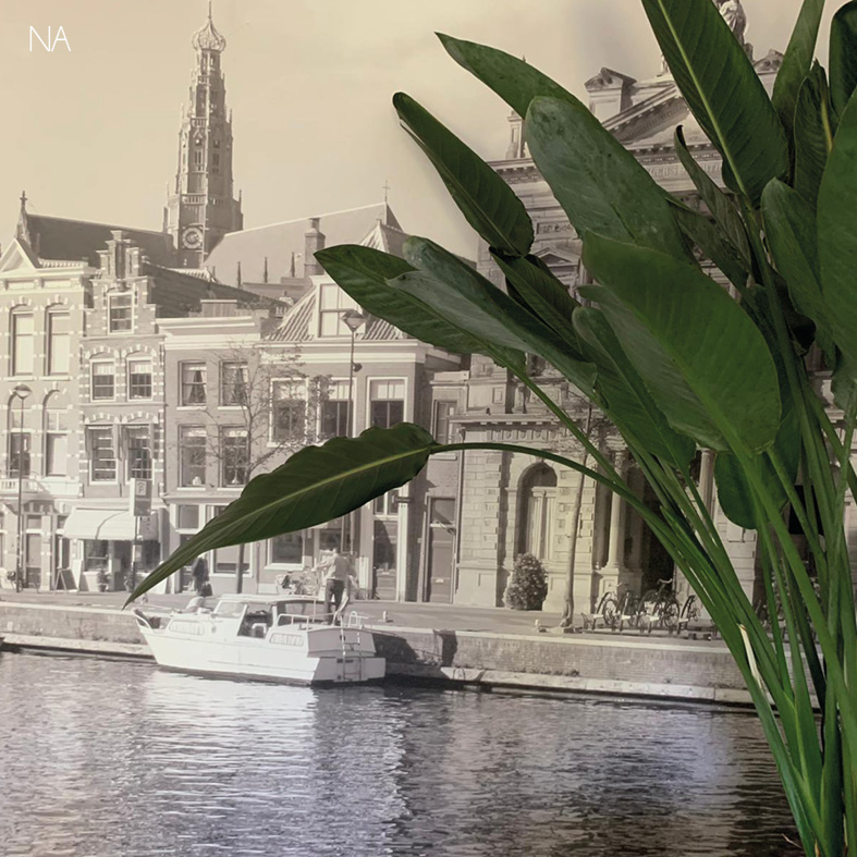 Schilderwerk Haarlem Fischer schilderwerk